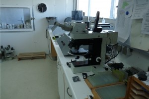 Mikroskop im Dünnschliff-Labor mkfactory